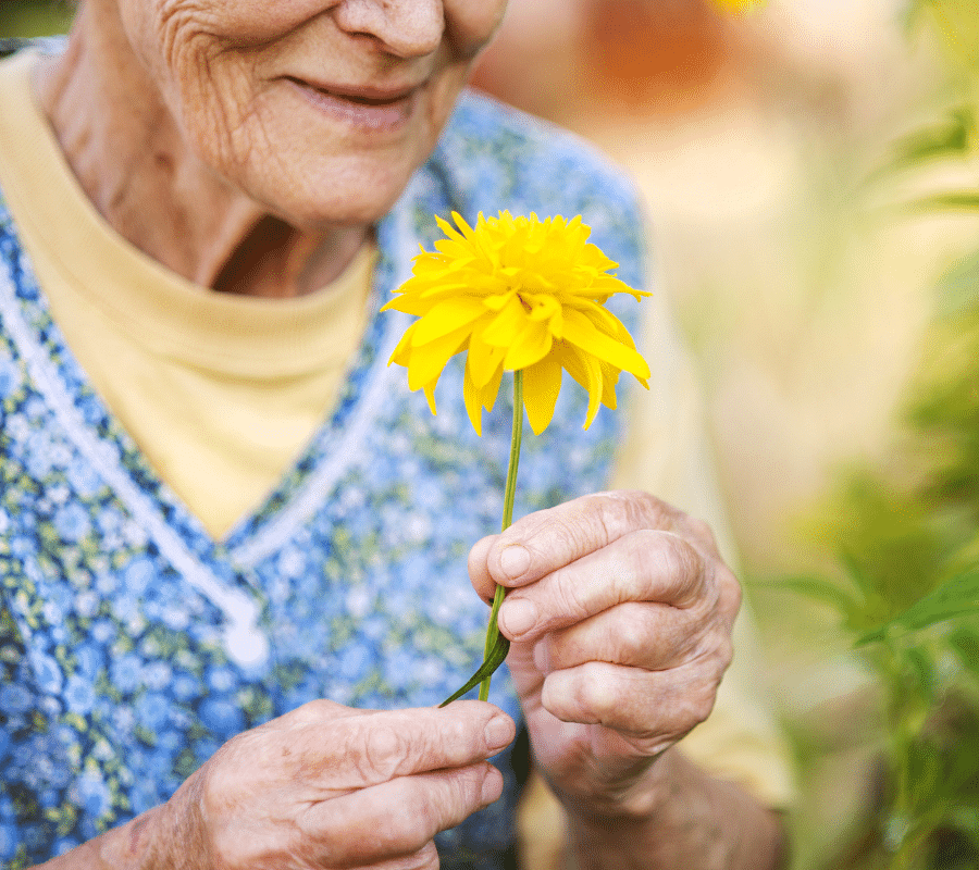 JARDIN PARTAGÉ EN EHPAD
