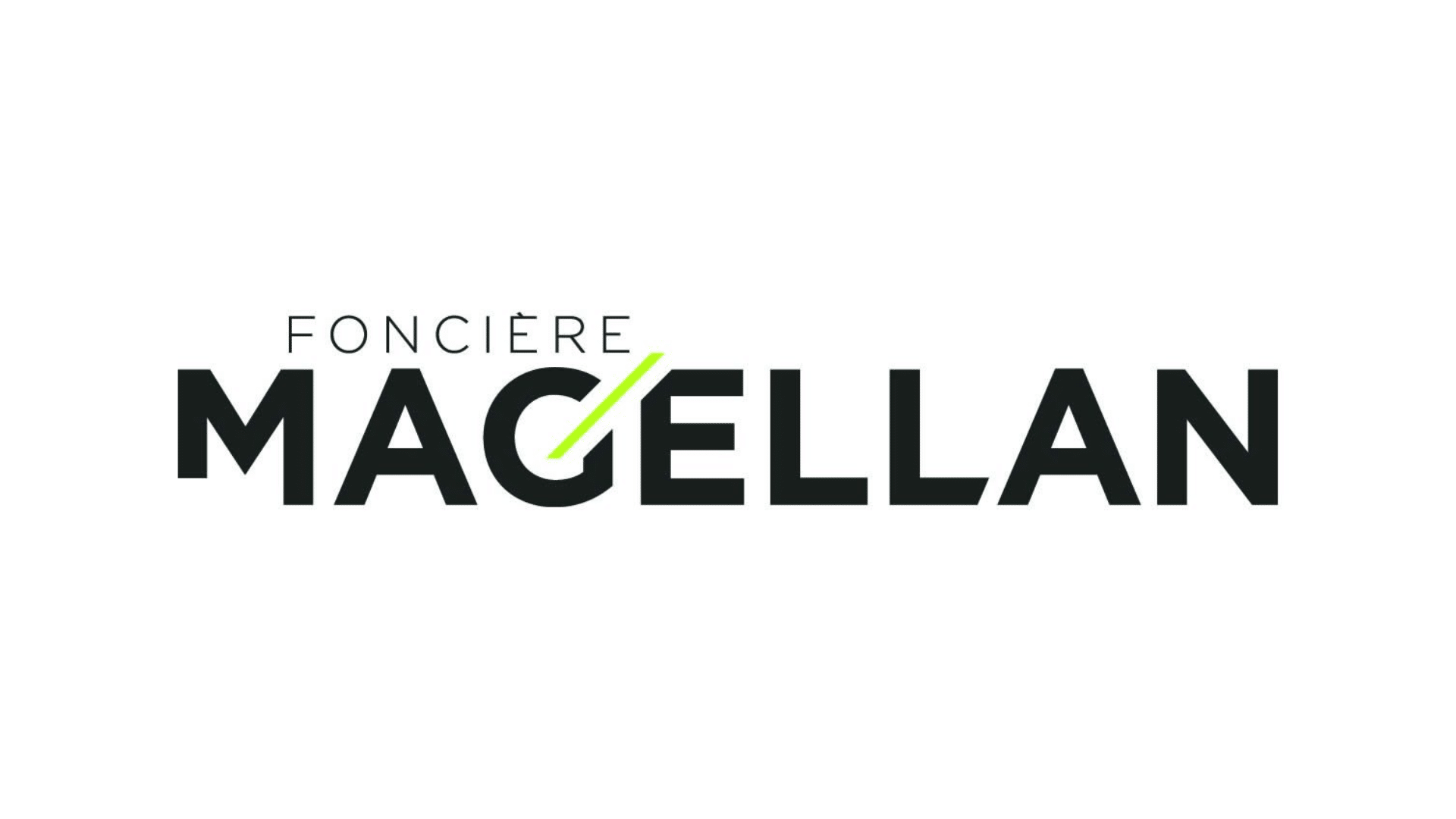 https://www.groupemagellim.com/reim/